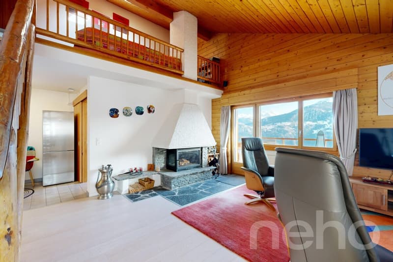 Bel appartement au dernier étage avec mezzanine (2)