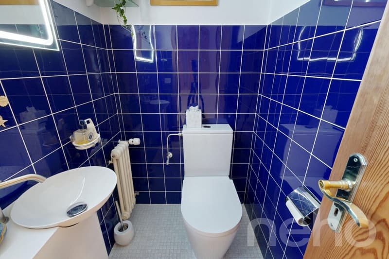 Bel appartement au dernier étage avec mezzanine (10)