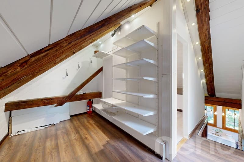 Grand duplex 3.5 pièces lumineux et bien agencé (8)