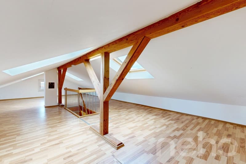 Einfamilienhaus mit Einliegerwohnung mit einer Top Lage in Kreuzlingen (9)