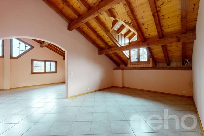 Immeuble locatif et 3 surfaces activités/stockage (12)