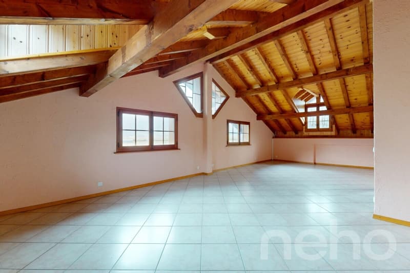 Immeuble locatif et 3 surfaces activités/stockage (9)