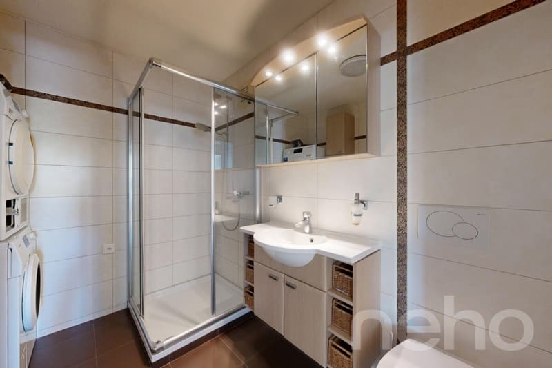 Helle 5.5-Zimmer-Wohnung (10)