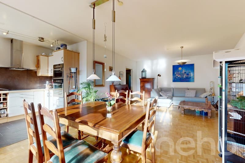 Bel appartement familial, 114 m², lumineux, hypercentre (1)