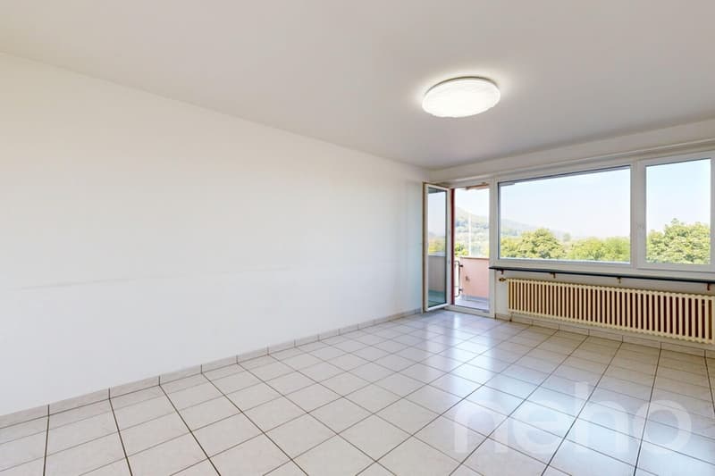 Helle 4.5-Zimmer-Wohnung mit Balkon und Rheinblick in Stein AG (12)