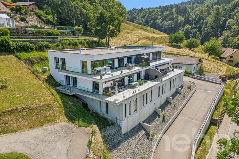 Wohnen mit Aussicht - stilvolle Terrassenwohnung in Plasselb (2)