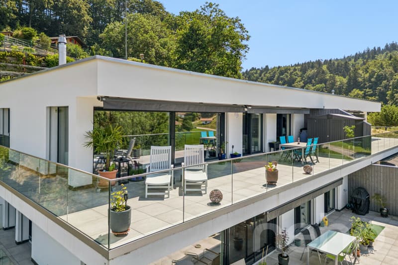 Wohnen mit Aussicht - stilvolle Terrassenwohnung in Plasselb (1)
