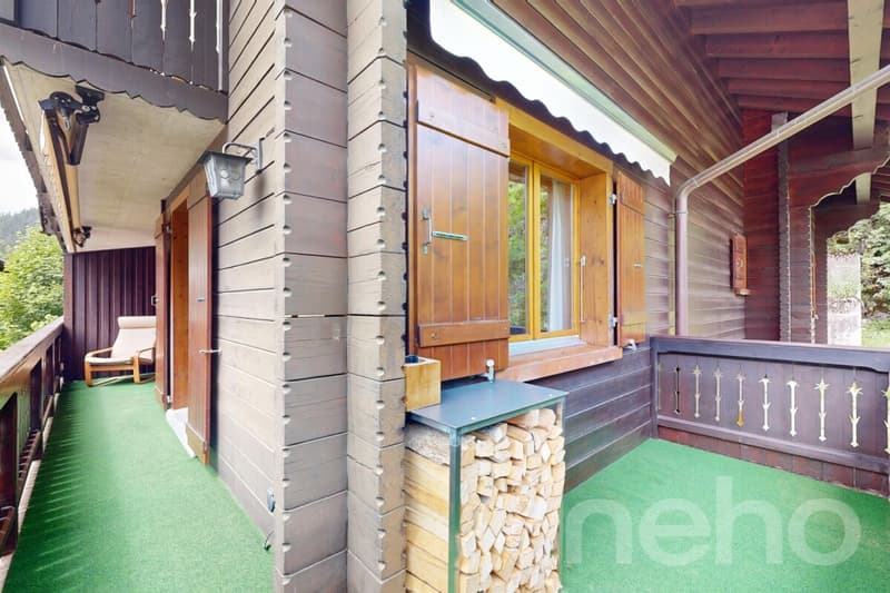 Rare opportunité appartement 3.5 rénové (12)