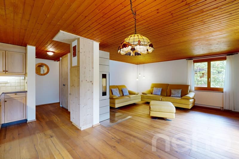 Rare opportunité appartement 3.5 rénové (3)