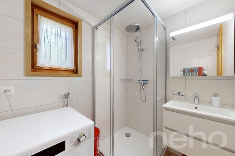 Rare opportunité appartement 3.5 rénové (9)