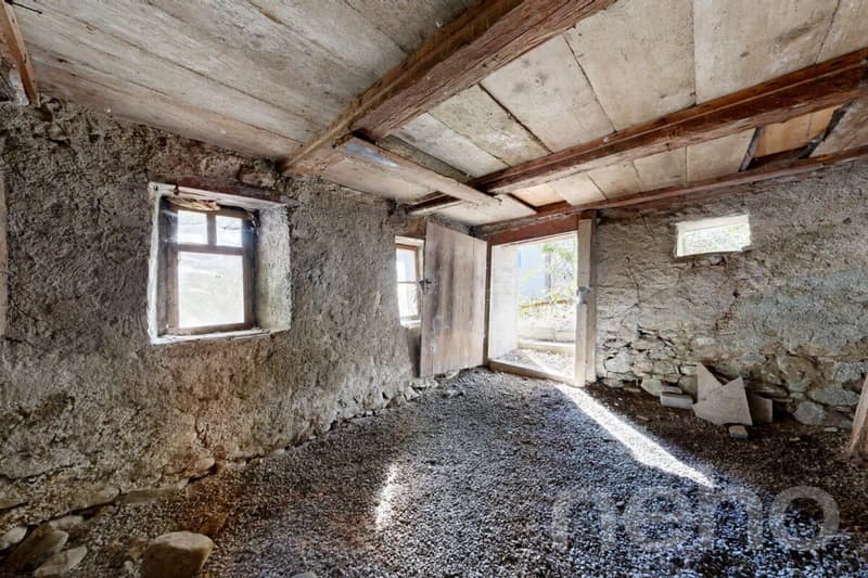 Historisches Doppeleinfamilienhaus am Waldrand mit Ausbaupotenzial (10)