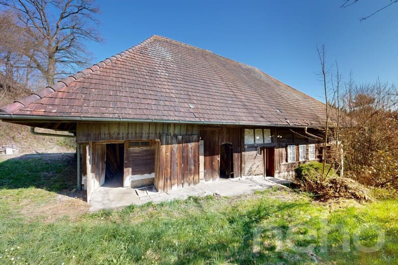 Historisches Doppeleinfamilienhaus am Waldrand mit Ausbaupotenzial (1)