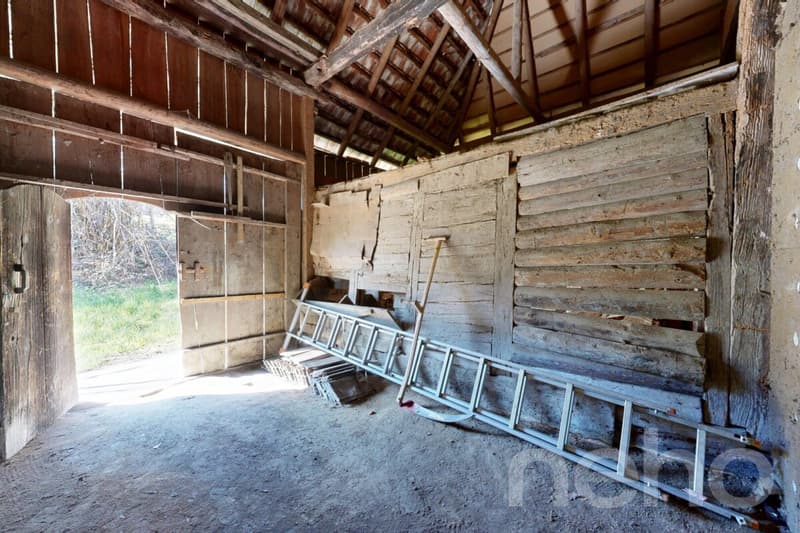 Historisches Doppeleinfamilienhaus am Waldrand mit Ausbaupotenzial (9)