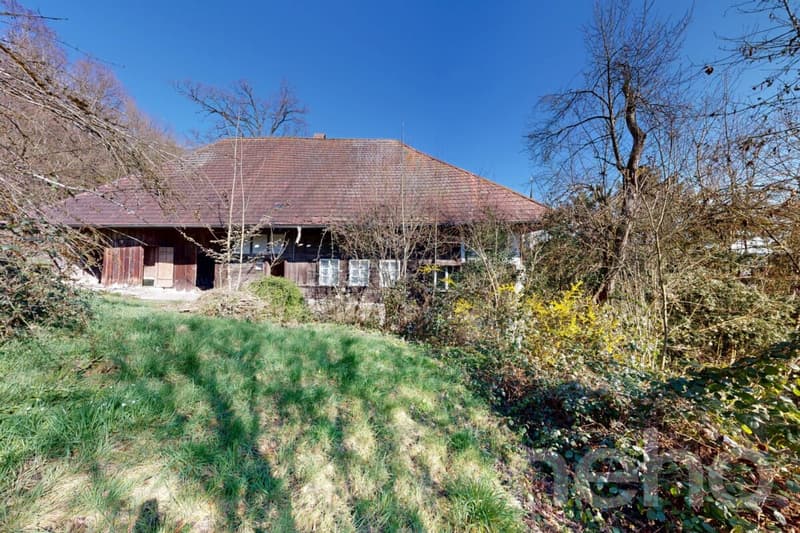 Historisches Doppeleinfamilienhaus am Waldrand mit Ausbaupotenzial (11)
