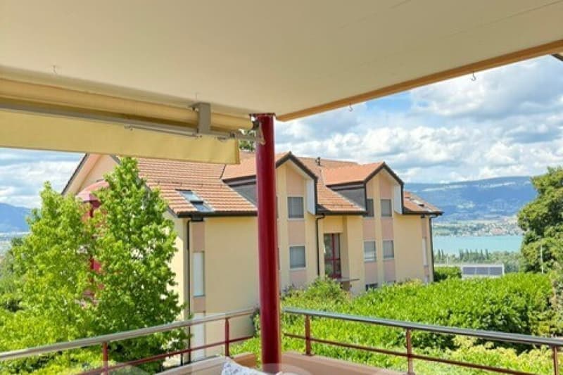 Appartement spacieux, lumineux et vue apprenable sur le lac ! (1)