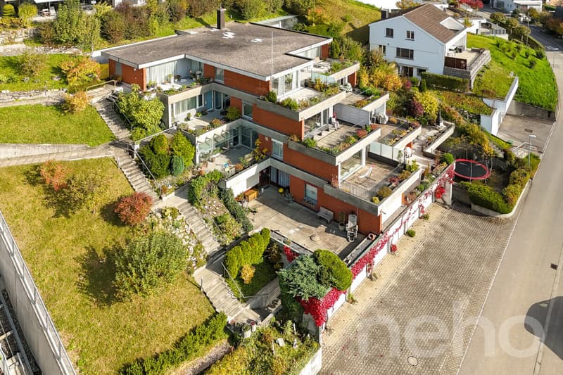 Helle, grosszügige Terrassenwohnung mit Alpensicht (2)