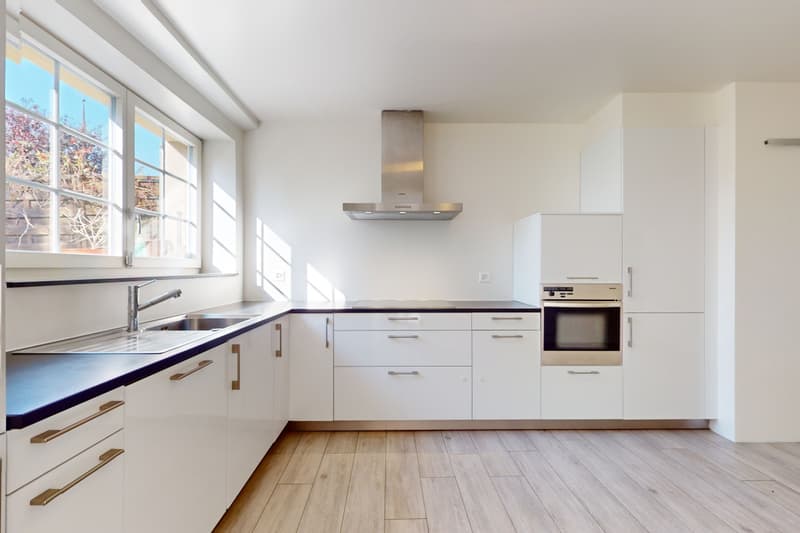 Duplex avec jardin, immense cave et 2 couverts à voiture (1)