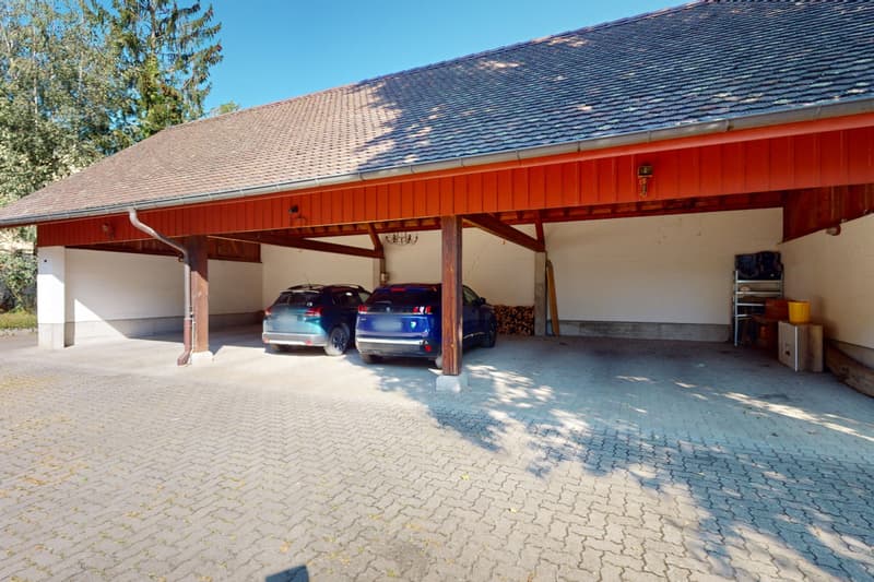 Duplex avec jardin, immense cave et 2 couverts à voiture (9)