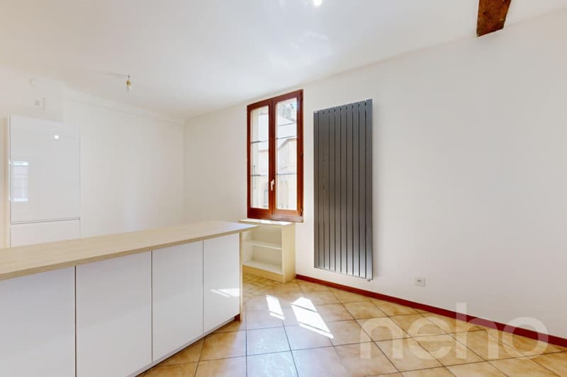 Entre Villereuse et Terrassière - Immeuble au cachet architectural (1)