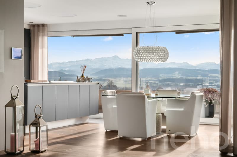 Exklusive Attika-Terrassenwohnung in Wil - Ruhe, Stil und Weitblick (5)