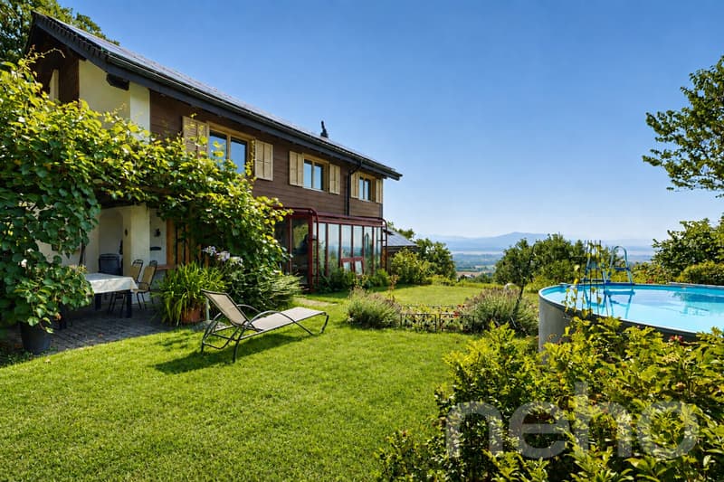 Maison en lisière de forêt, vue lac et Alpes (1)