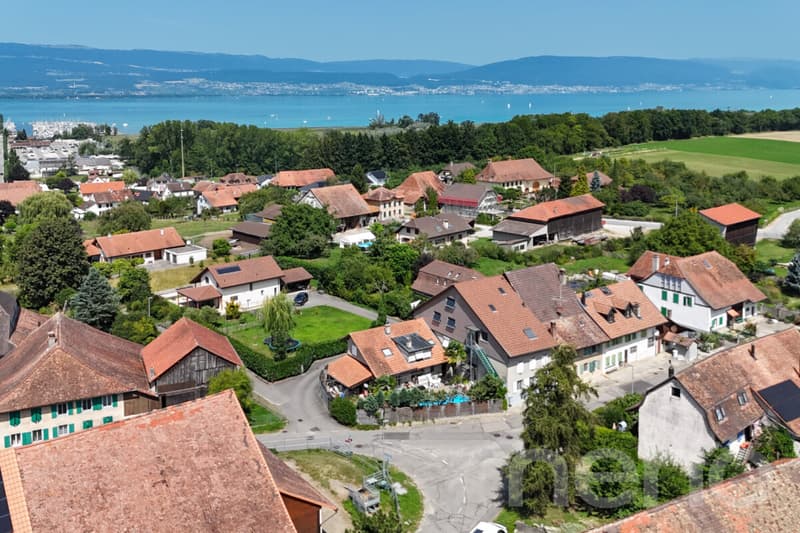 Rare propriété de rendement à Chevroux (2)