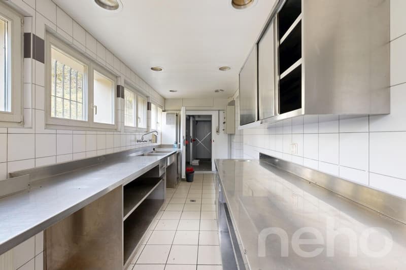 OPPORTUNITÉ RARE : RÉVEILLEZ LA LÉGENDE DE LA MAISON MONSIEUR (10)