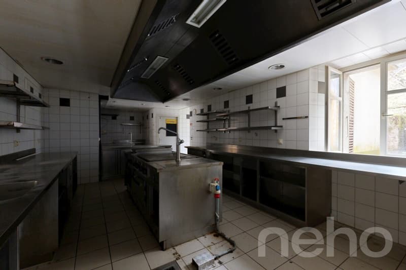 OPPORTUNITÉ RARE : RÉVEILLEZ LA LÉGENDE DE LA MAISON MONSIEUR (9)