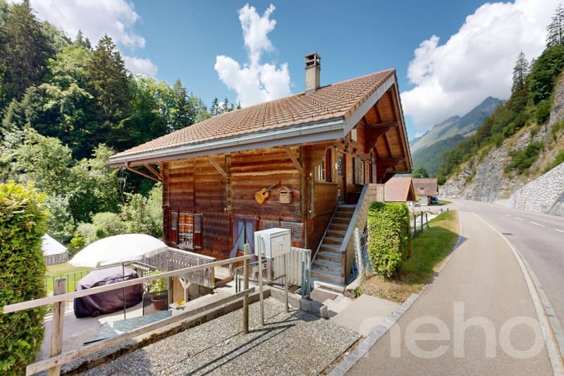Un chalet plein de charme dans un écrin de verdure (1)
