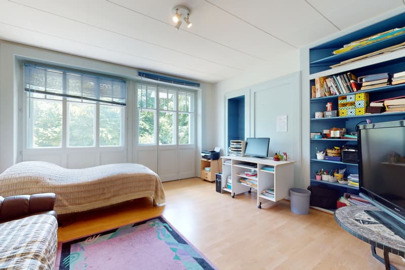 Immeuble mixte au fort potentiel ? pour un projet immobilier ambitieux (8)