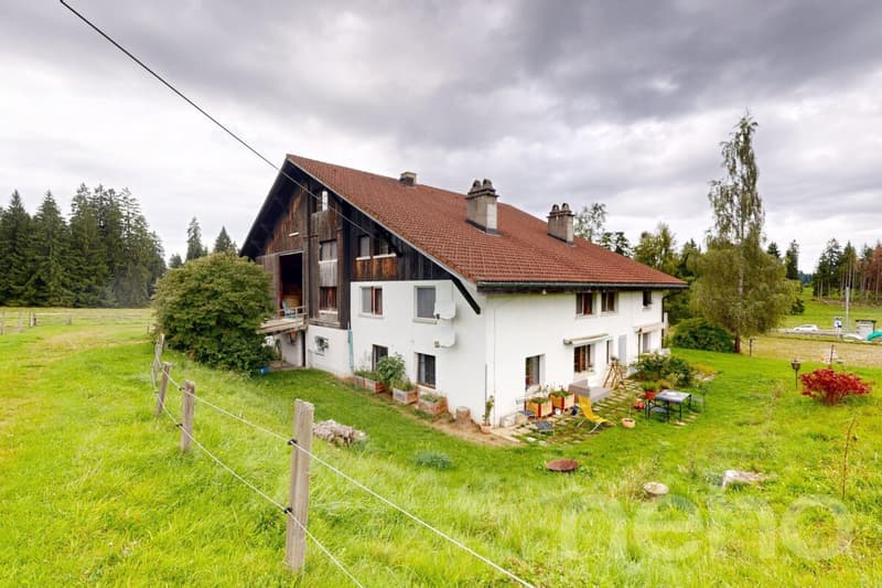 Idyllische Wohnung ideal für Pferdeliebhaber (2)