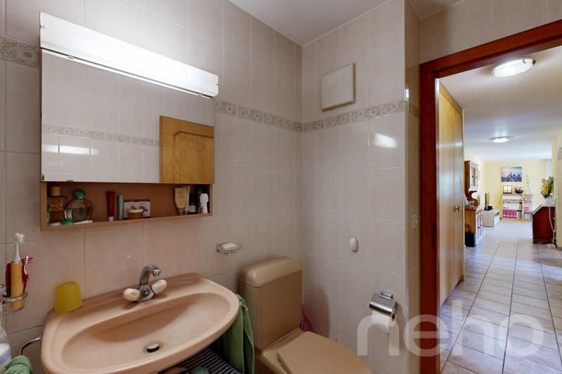 Appartement 3.5 avec garage (11)