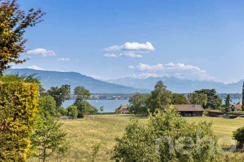 Superbe Attique de 5 pièces, vue lac et montagnes (11)