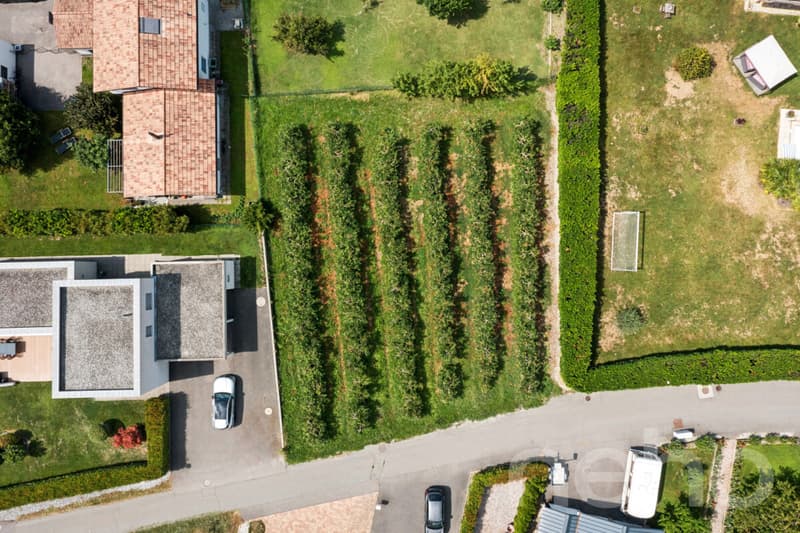 Magnifique parcelle constructible de 782 m² à Fully ? Beau potentiel (2)