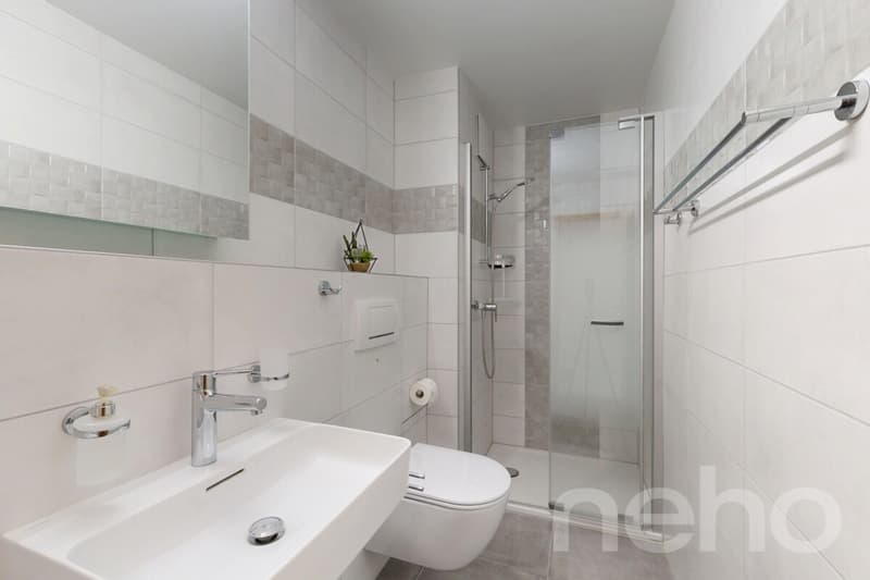 Grand 5,5 pièces de 160 m², vue dégagée et calme absolu (9)