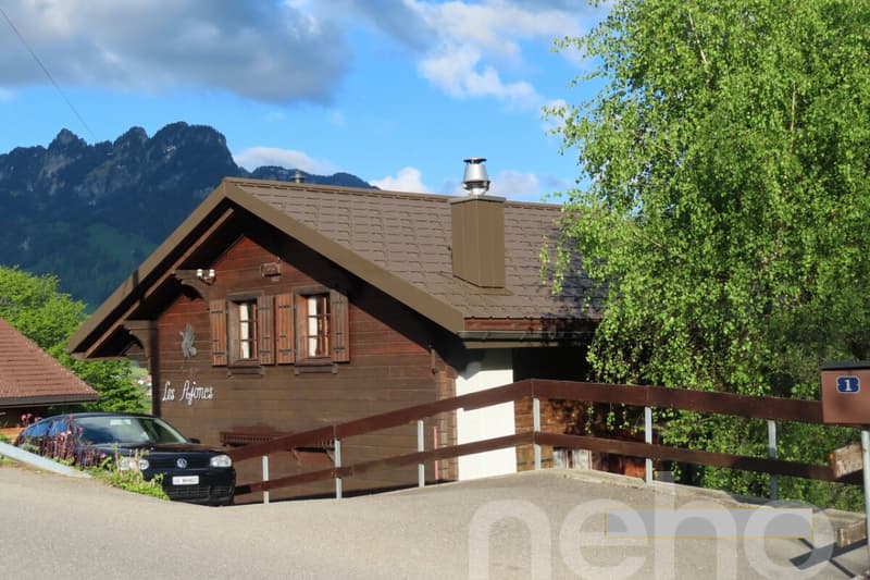 Chalet bucolique avec vue panoramique sur le lac de Montsalvens (1)