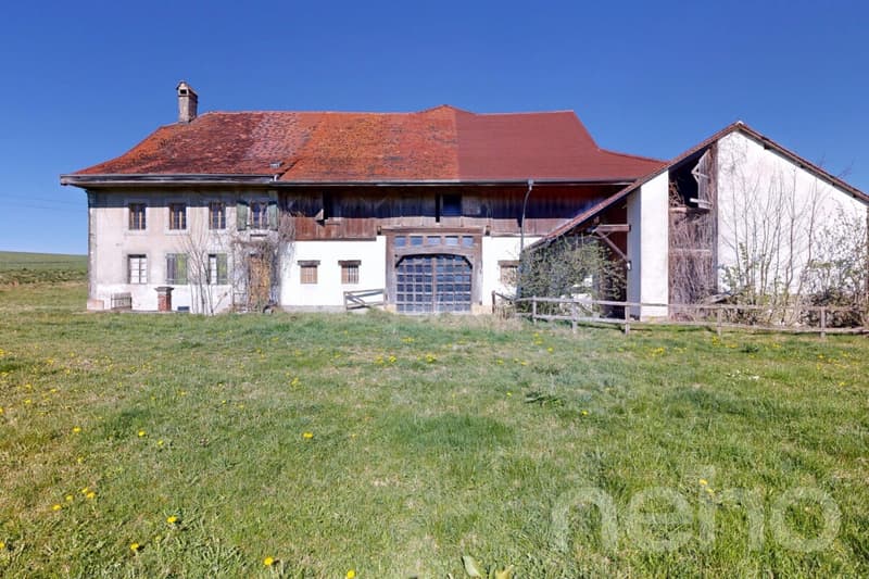 Magnifique ferme historique à transformer fort potentiel (11)
