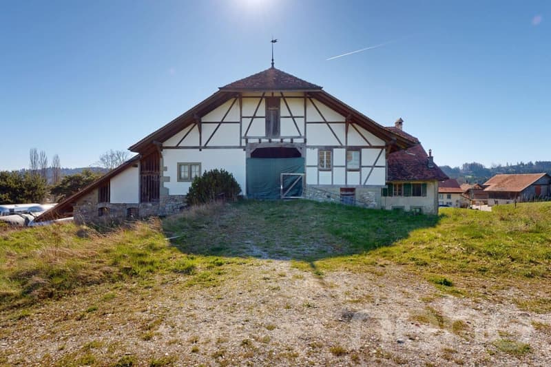 Magnifique ferme historique à transformer fort potentiel (1)