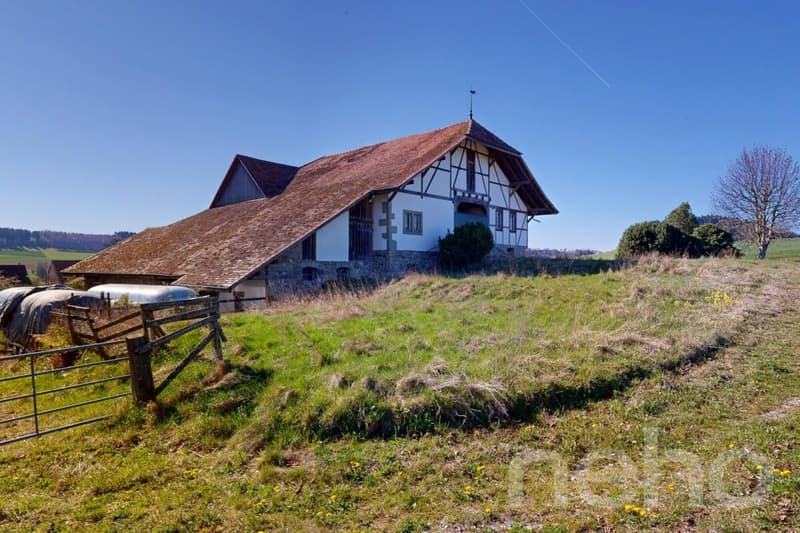 Magnifique ferme historique à transformer fort potentiel (5)