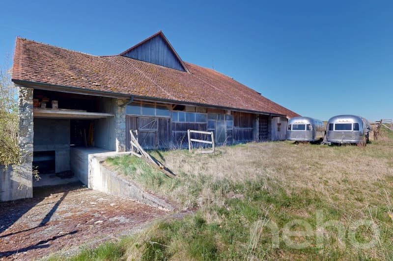 Magnifique ferme historique à transformer fort potentiel (2)