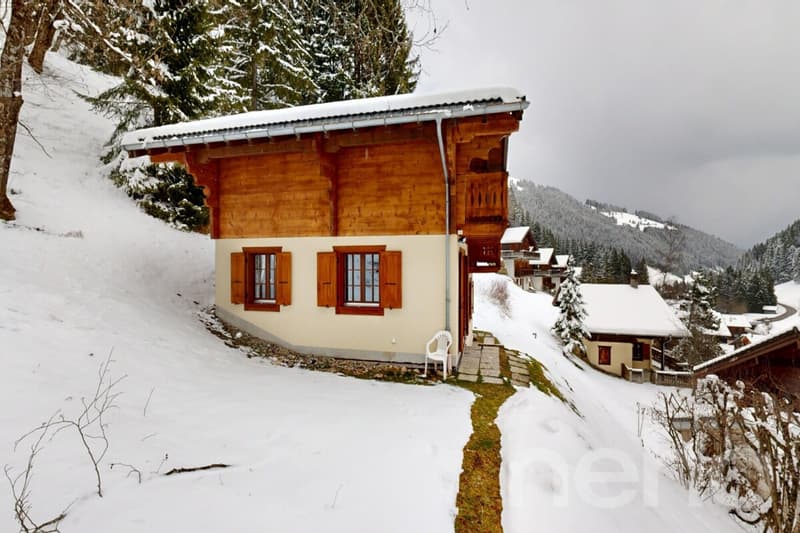 Exclusif : Chalet de 4 chambres avec garage (2)