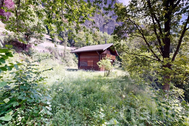 Superbe parcelle à Chamoson (8)
