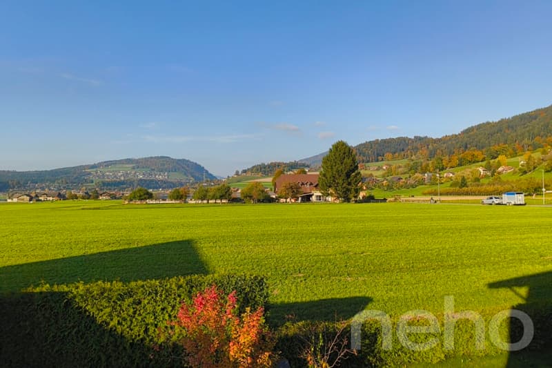 Naturnah wohnen mit Cheminée, Balkon und eigenem Bastelraum (9)
