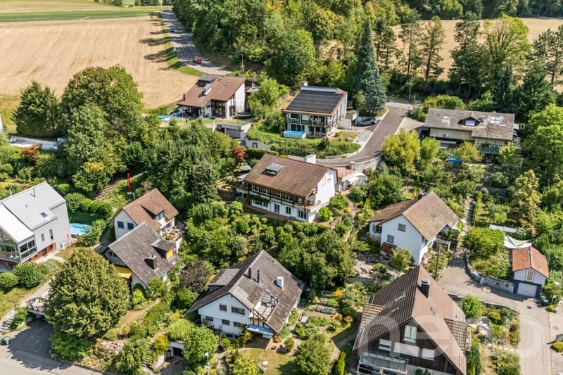 5.5-Zimmer-Einfamilienhaus mit Einliegerwohnung und Traumaussicht (1)