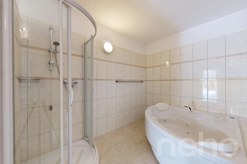5.5-Zimmer-Einfamilienhaus mit Einliegerwohnung und Traumaussicht (11)
