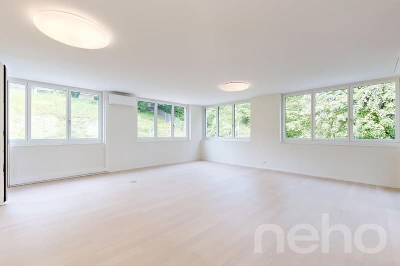 Zentral, stilvoll, grosszügig ? 4.5-Zimmer-Wohnung mit zwei Terrassen (3)