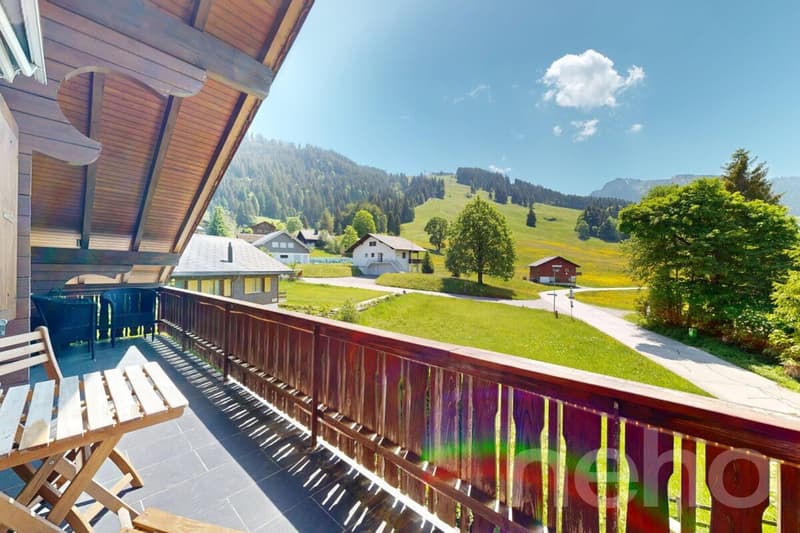 Grosse 2.5-Zimmer-Maisonette-Dachwohnung in Wirzweli (1)