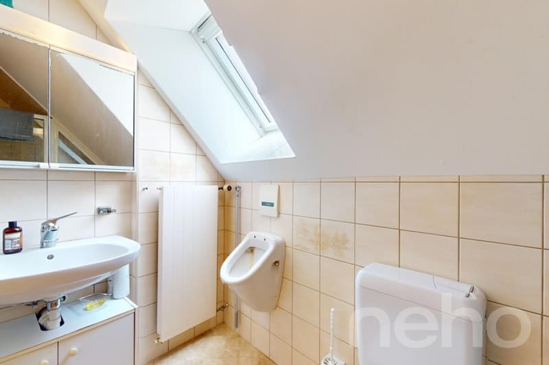 Renditemöglichkeit - Schnäppchen in Langenbruck mit grossem Potenzial (10)