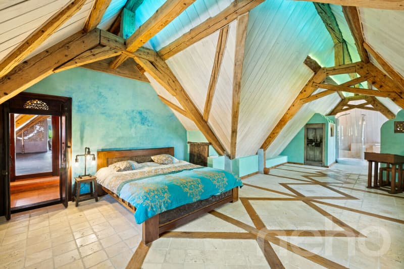 Exclusif: Magnifique propriété avec maison de maître et hangar (8)
