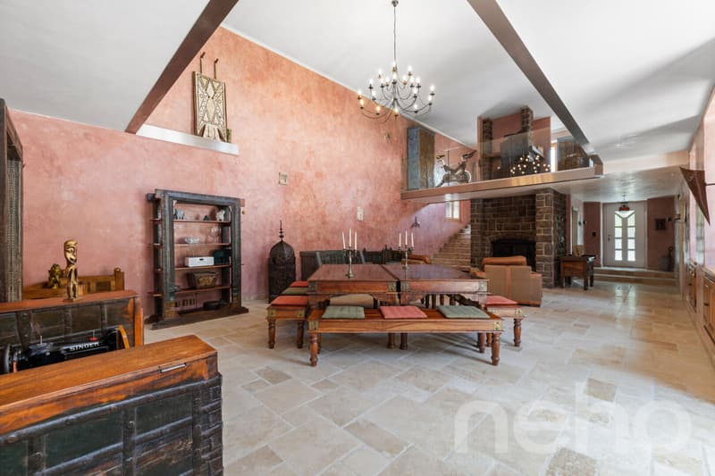 Exclusif: Magnifique propriété avec maison de maître et hangar (3)